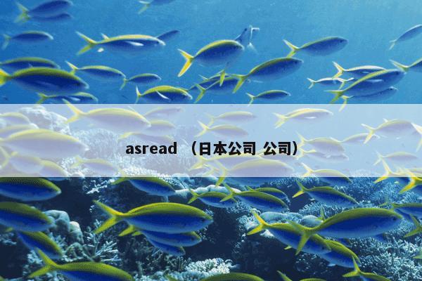 asread （日本公司 公司）