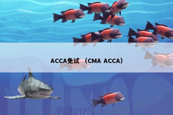 ACCA免试 （CMA ACCA）