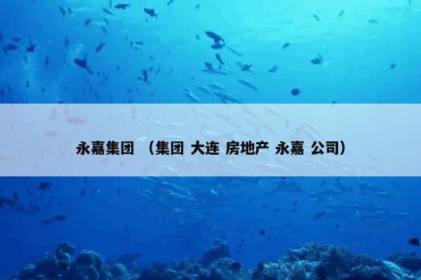 永嘉集团 （集团 大连 房地产 永嘉 公司）