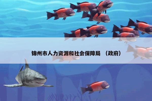 锦州市人力资源和社会保障局 （政府）