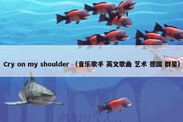 Cry on my shoulder （音乐歌手 英文歌曲 艺术 德国 群星）