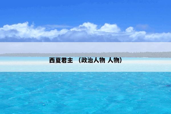 西夏君主 （政治人物 人物）