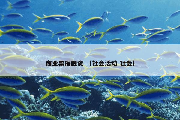 商业票据融资 （社会活动 社会）