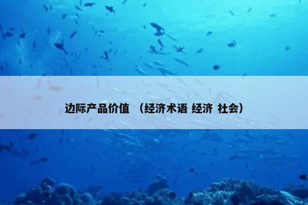 边际产品价值 （经济术语 经济 社会）