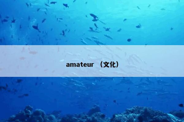 amateur （文化）