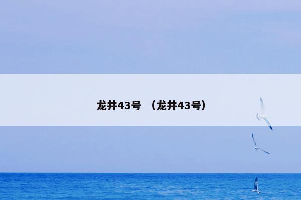 龙井43号 （龙井43号）