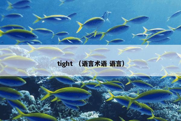 tight （语言术语 语言）