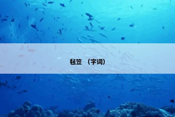 毡笠 （字词）