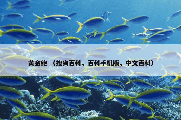 成都 （地理 行政区划 城市 省会）