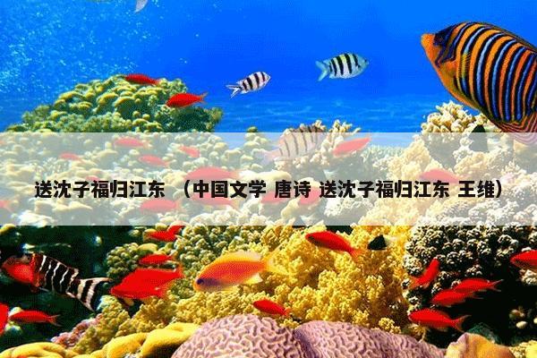 送沈子福归江东 （中国文学 唐诗 送沈子福归江东 王维）