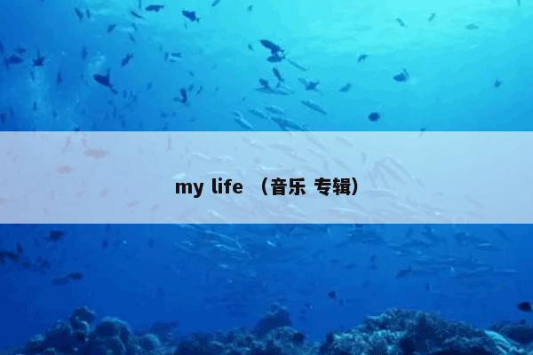 my life （音乐 专辑）