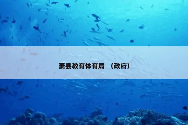 萧县教育体育局 （政府）