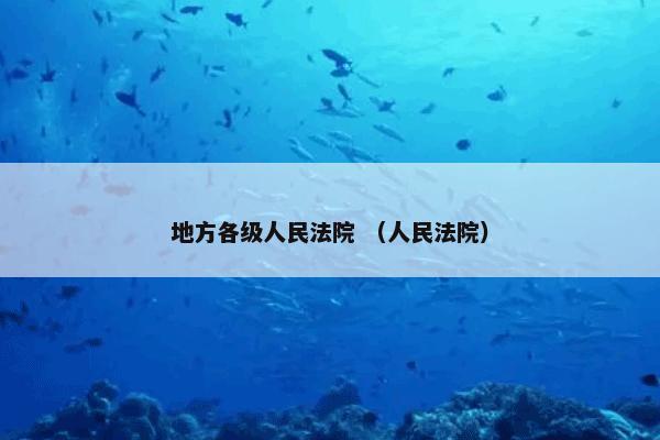 地方各级人民法院 （人民法院）