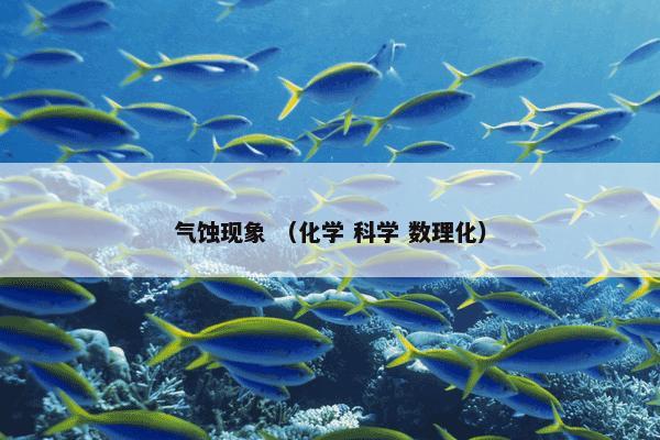 气蚀现象 （化学 科学 数理化）