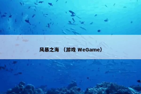 风暴之海 （游戏 WeGame）