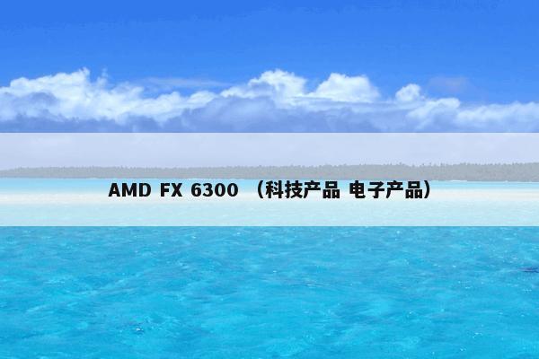 AMD FX 6300 （科技产品 电子产品）