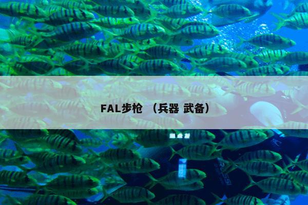 FAL步枪 （兵器 武备）