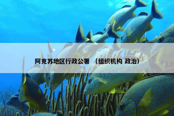 阿克苏地区行政公署 （组织机构 政治）