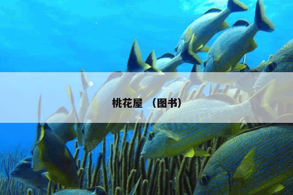 妹坨 （方言 湖南 长沙 长沙话 湖南话）