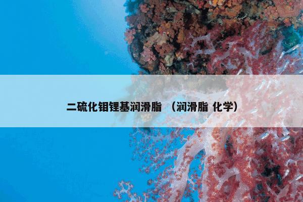 鹤壁科达学校 （鹤壁科达学校 学校 组织机构 教育机构 中小学）