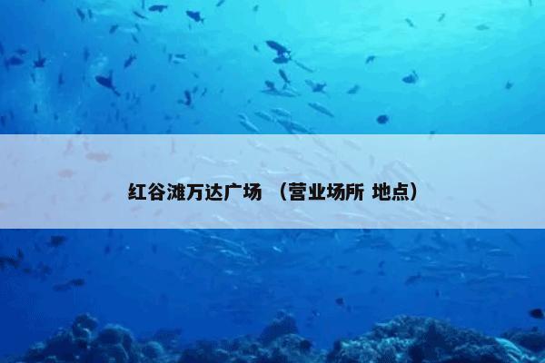 红谷滩万达广场 （营业场所 地点）