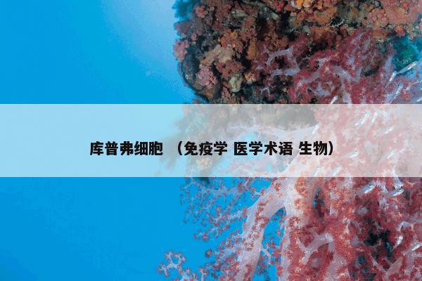 库普弗细胞 （免疫学 医学术语 生物）