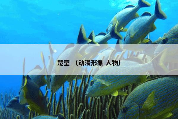 锚头蚤 （锚头蚤 生物）