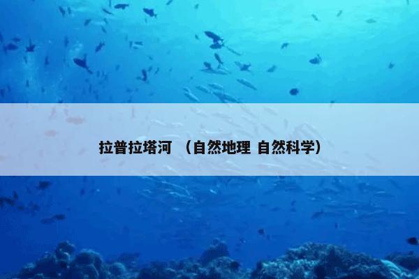 拉普拉塔河 （自然地理 自然科学）