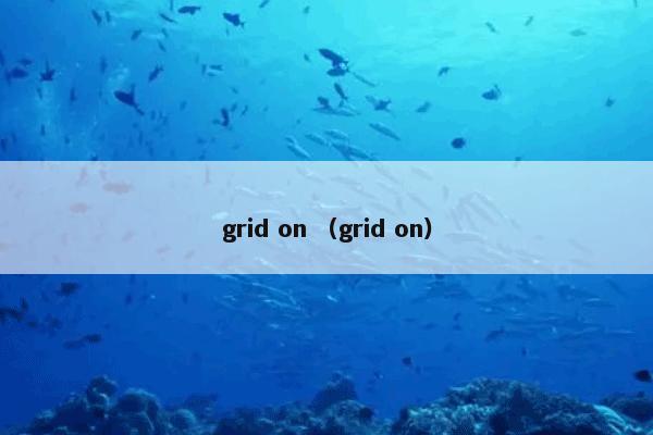 grid on （grid on）