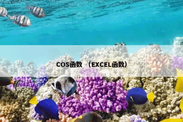 COS函数 （EXCEL函数）