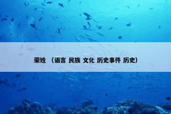 荣姓 （语言 民族 文化 历史事件 历史）