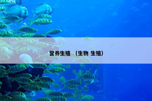 营养生殖 （生物 生殖）