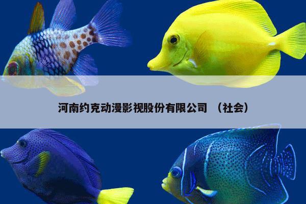 河南约克动漫影视股份有限公司 （社会）