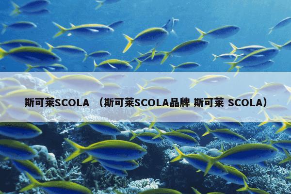 斯可莱SCOLA （斯可莱SCOLA品牌 斯可莱 SCOLA）