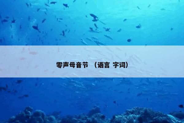 零声母音节 （语言 字词）