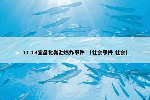 11.13宜昌化粪池爆炸事件 （社会事件 社会）