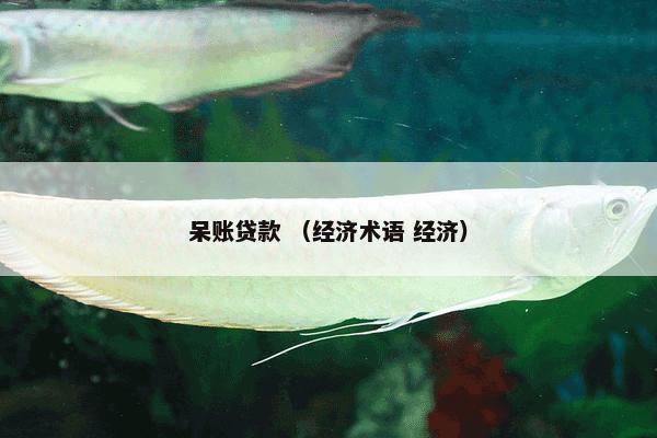 呆账贷款 （经济术语 经济）