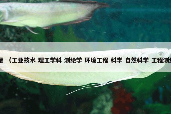 水准测量 （工业技术 理工学科 测绘学 环境工程 科学 自然科学 工程测量 地理）