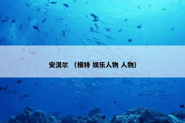 国际地球科学奥林匹克竞赛 （国际地球科学奥林匹克竞赛）