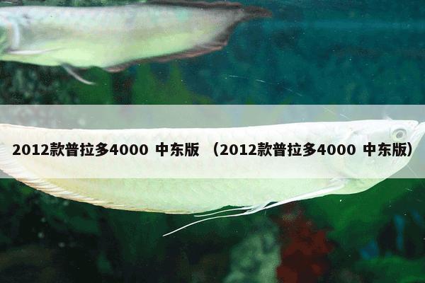 2012款普拉多4000 中东版 （2012款普拉多4000 中东版）