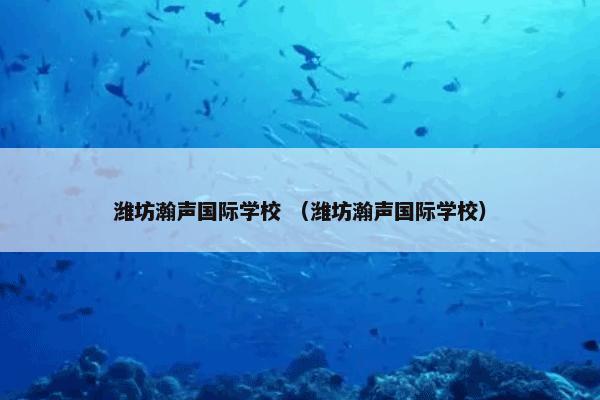 潍坊瀚声国际学校 （潍坊瀚声国际学校）