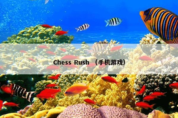 Chess Rush （手机游戏）