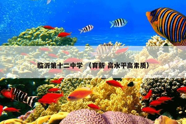 临沂第十二中学 （育新 高水平高素质）