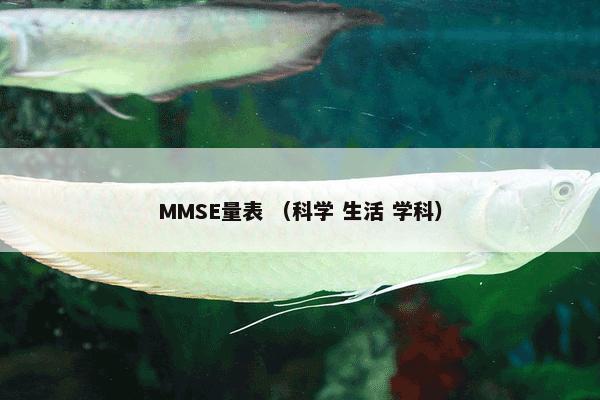 MMSE量表 （科学 生活 学科）