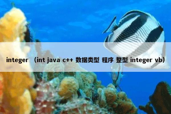 integer （int java c++ 数据类型 程序 整型 integer vb）