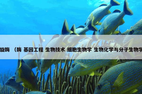 dna解旋酶 （酶 基因工程 生物技术 细胞生物学 生物化学与分子生物学 理学）