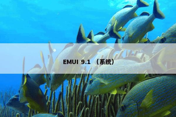 EMUI 9.1 （系统）